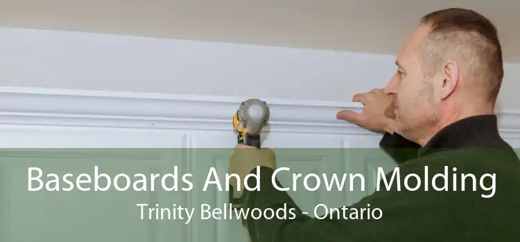 Baseboards And Crown Molding Trinity Bellwoods - Ontario