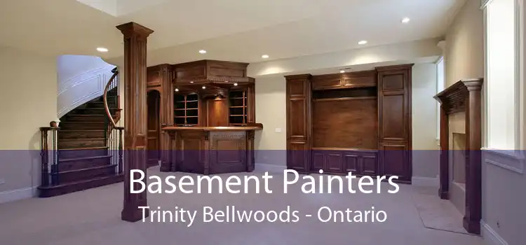 Basement Painters Trinity Bellwoods - Ontario