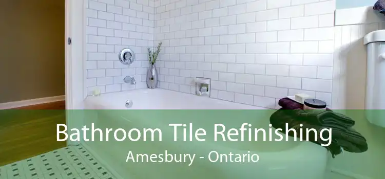 Bathroom Tile Refinishing Amesbury - Ontario