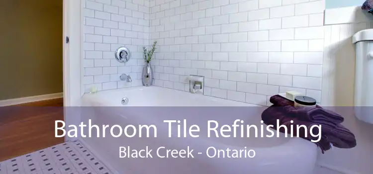 Bathroom Tile Refinishing Black Creek - Ontario