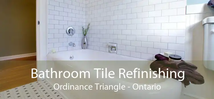 Bathroom Tile Refinishing Ordinance Triangle - Ontario