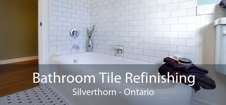 Bathroom Tile Refinishing Silverthorn - Ontario