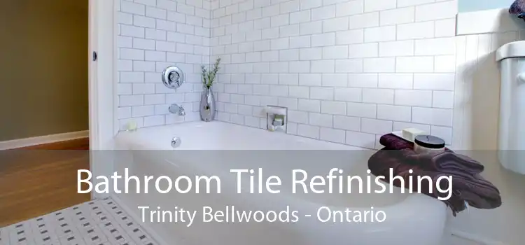 Bathroom Tile Refinishing Trinity Bellwoods - Ontario