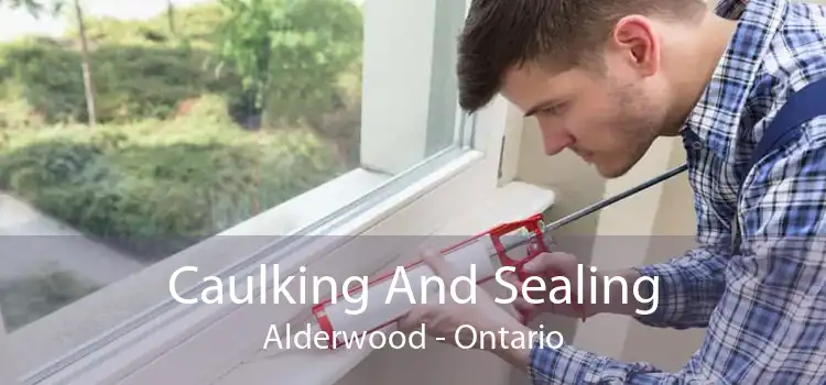 Caulking And Sealing Alderwood - Ontario