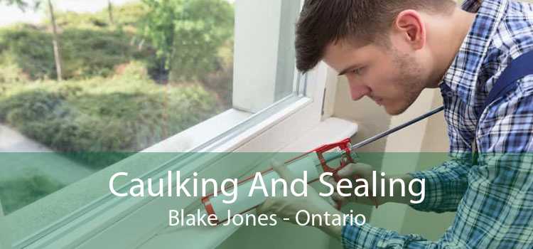 Caulking And Sealing Blake Jones - Ontario