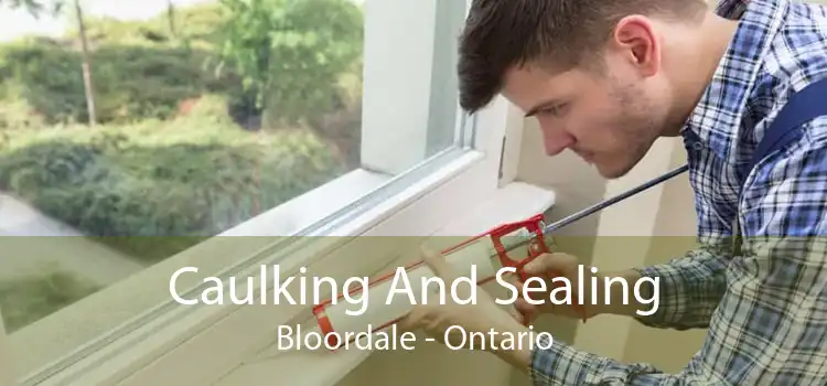 Caulking And Sealing Bloordale - Ontario