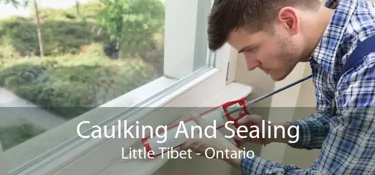 Caulking And Sealing Little Tibet - Ontario