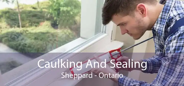 Caulking And Sealing Sheppard - Ontario