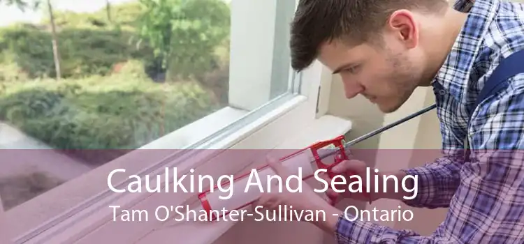 Caulking And Sealing Tam O'Shanter-Sullivan - Ontario