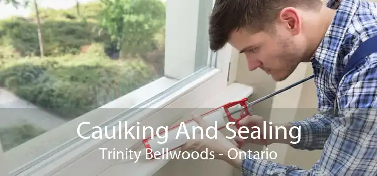 Caulking And Sealing Trinity Bellwoods - Ontario