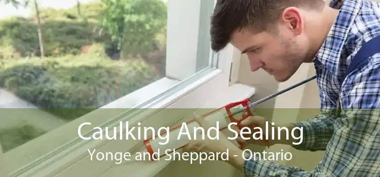 Caulking And Sealing Yonge and Sheppard - Ontario