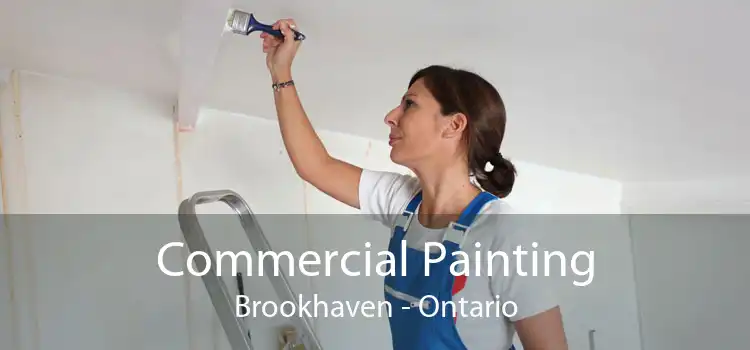 Commercial Painting Brookhaven - Ontario