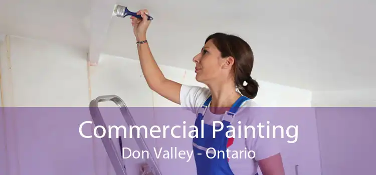 Commercial Painting Don Valley - Ontario