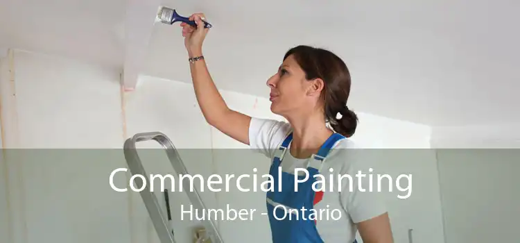Commercial Painting Humber - Ontario