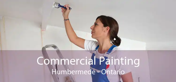Commercial Painting Humbermede - Ontario