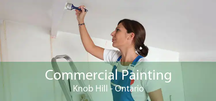 Commercial Painting Knob Hill - Ontario