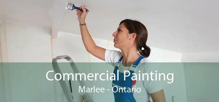 Commercial Painting Marlee - Ontario