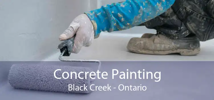 Concrete Painting Black Creek - Ontario