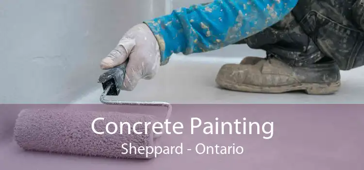 Concrete Painting Sheppard - Ontario