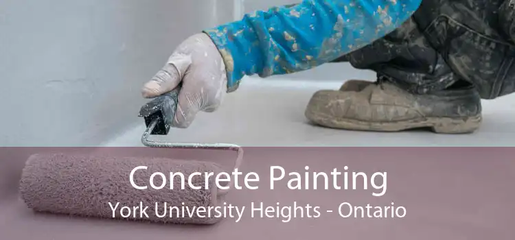 Concrete Painting York University Heights - Ontario