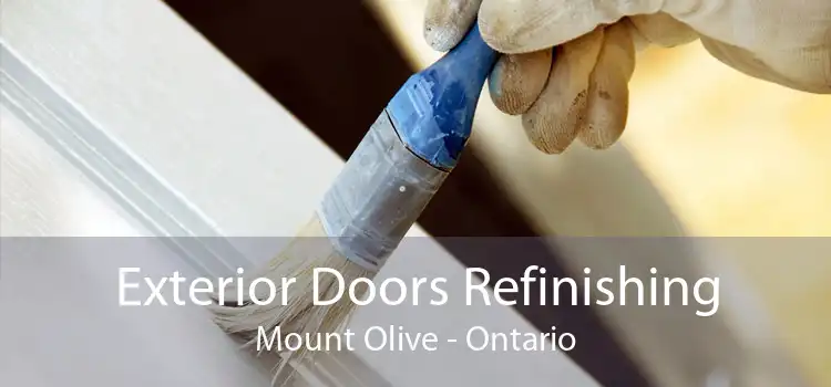 Exterior Doors Refinishing Mount Olive - Ontario