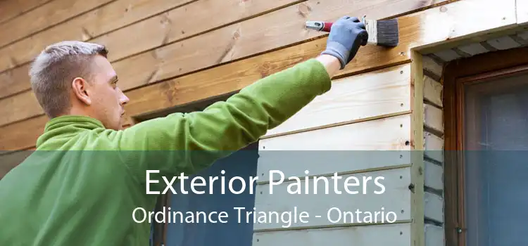 Exterior Painters Ordinance Triangle - Ontario