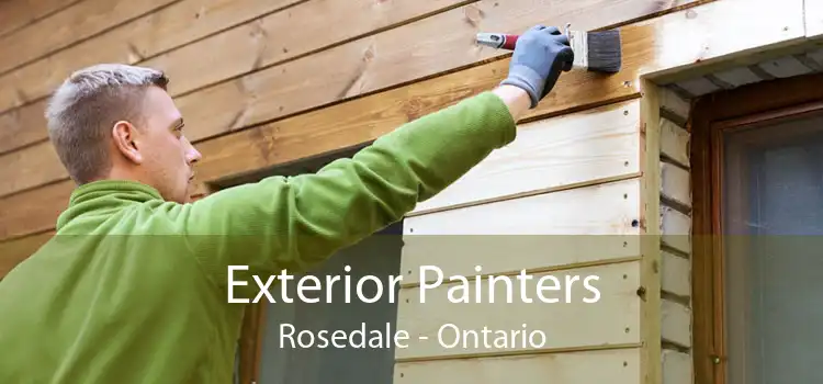 Exterior Painters Rosedale - Ontario