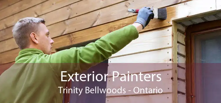 Exterior Painters Trinity Bellwoods - Ontario