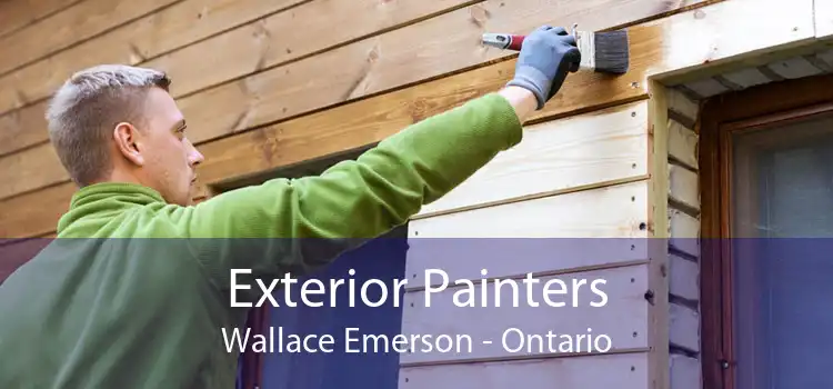 Exterior Painters Wallace Emerson - Ontario