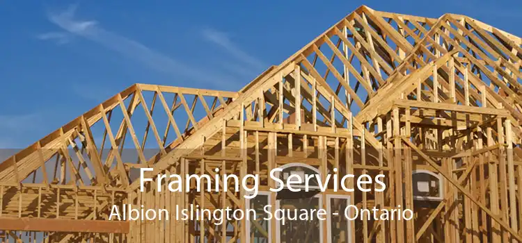 Framing Services Albion Islington Square - Ontario