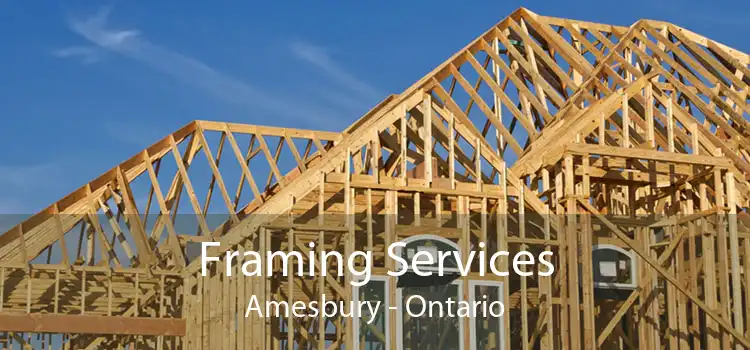 Framing Services Amesbury - Ontario
