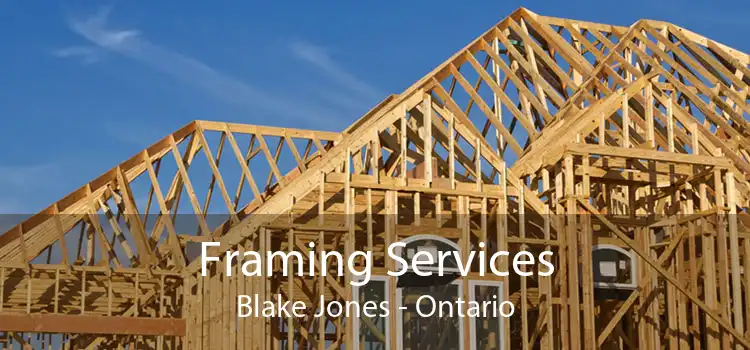 Framing Services Blake Jones - Ontario