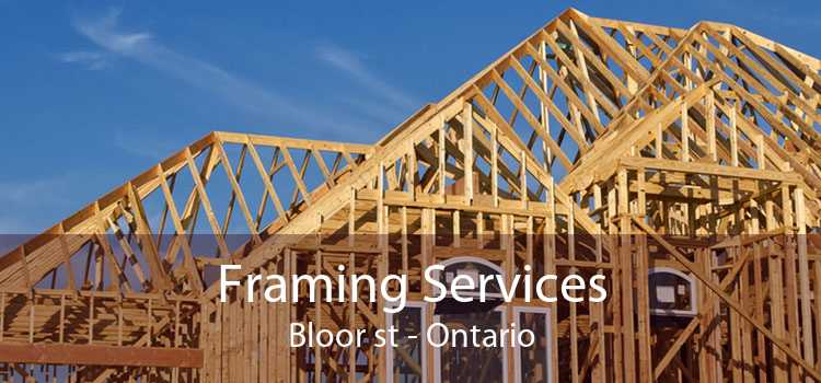 Framing Services Bloor st - Ontario