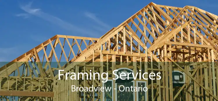 Framing Services Broadview - Ontario