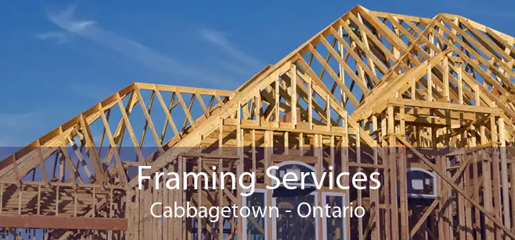 Framing Services Cabbagetown - Ontario