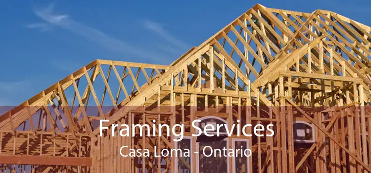 Framing Services Casa Loma - Ontario