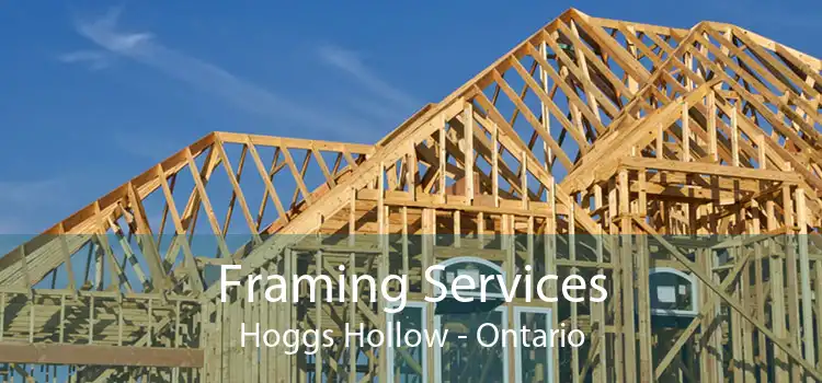 Framing Services Hoggs Hollow - Ontario