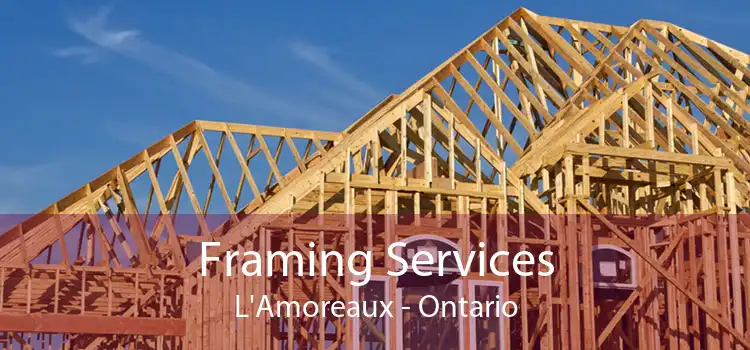 Framing Services L'Amoreaux - Ontario