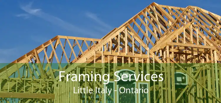 Framing Services Little Italy - Ontario