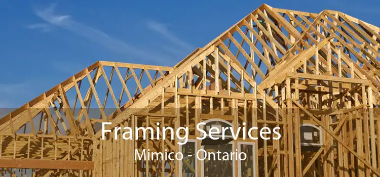 Framing Services Mimico - Ontario