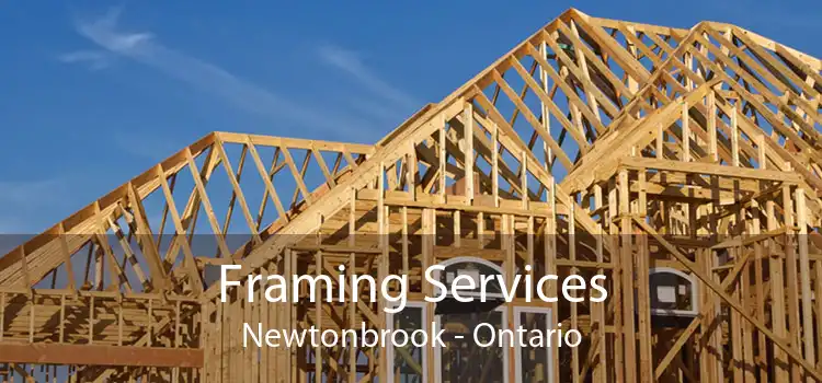 Framing Services Newtonbrook - Ontario