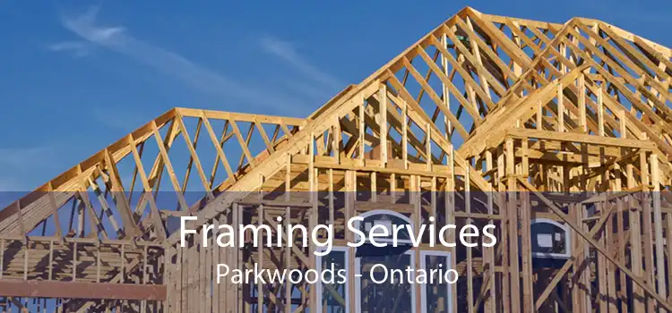 Framing Services Parkwoods - Ontario