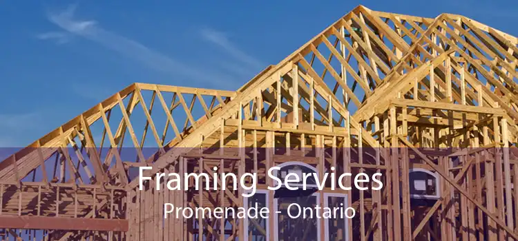 Framing Services Promenade - Ontario