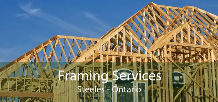 Framing Services Steeles - Ontario