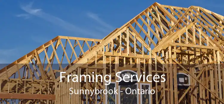Framing Services Sunnybrook - Ontario