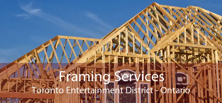 Framing Services Toronto Entertainment District - Ontario
