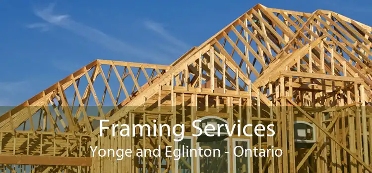 Framing Services Yonge and Eglinton - Ontario