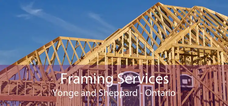 Framing Services Yonge and Sheppard - Ontario