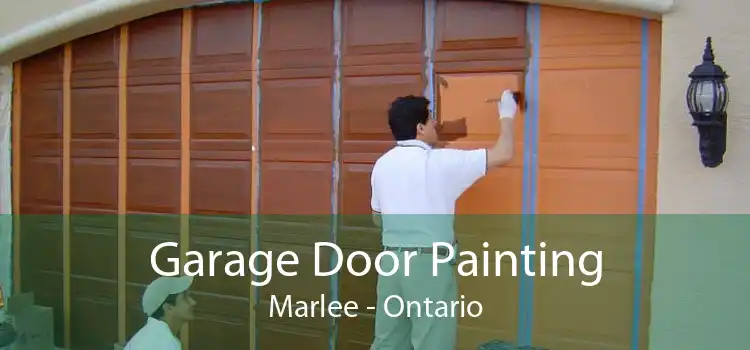 Garage Door Painting Marlee - Ontario