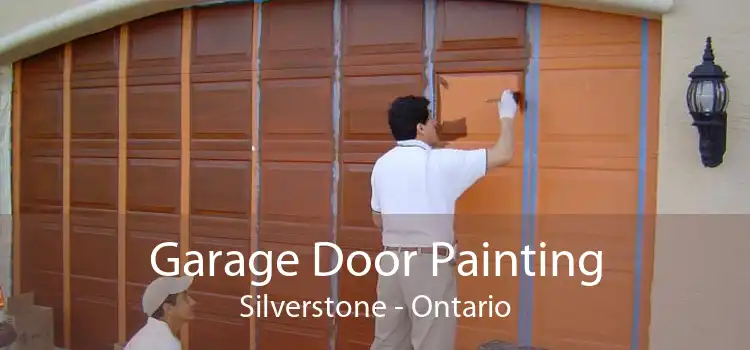 Garage Door Painting Silverstone - Ontario